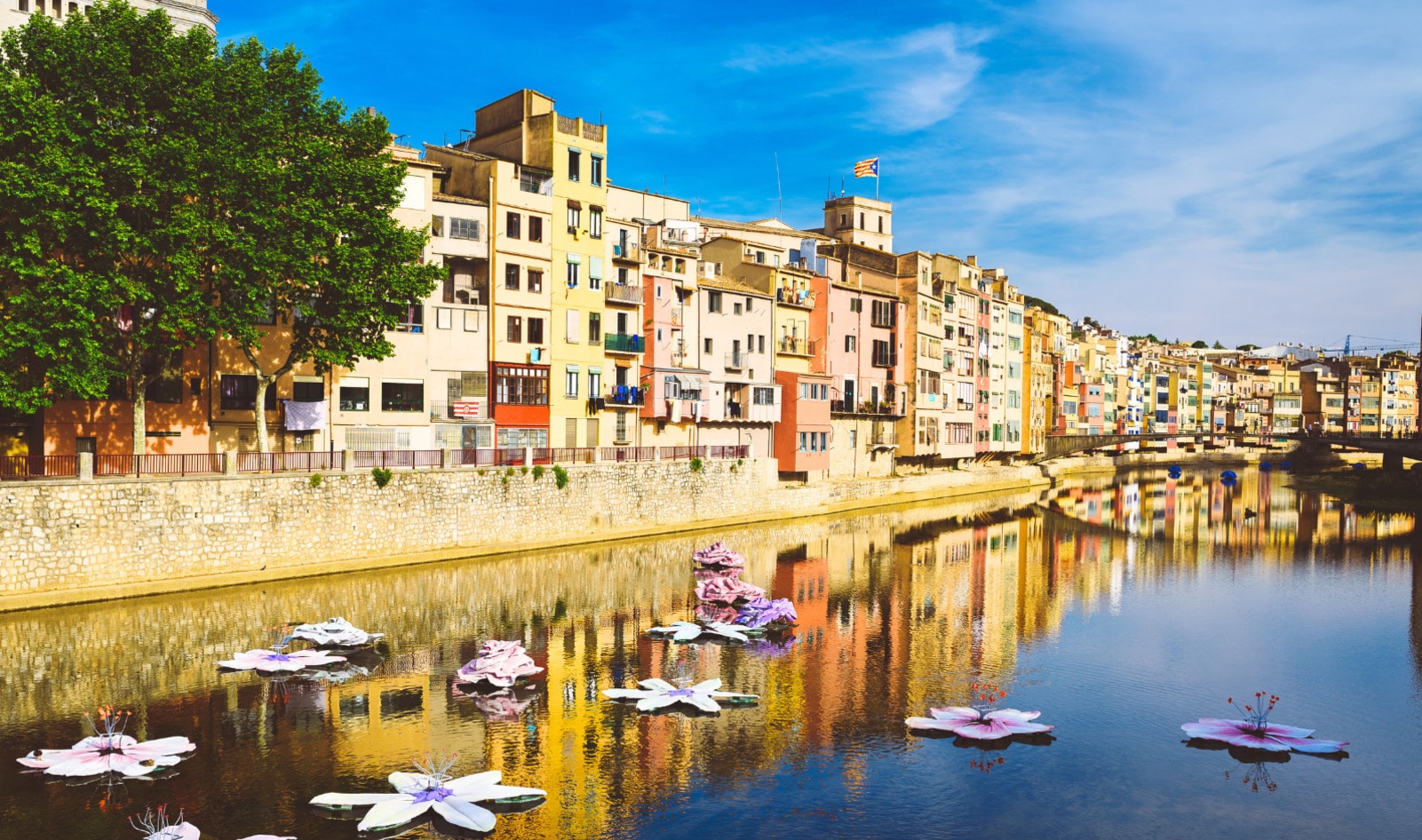 Where to Eat Vegan in Catalonia: Barcelona and Beyond